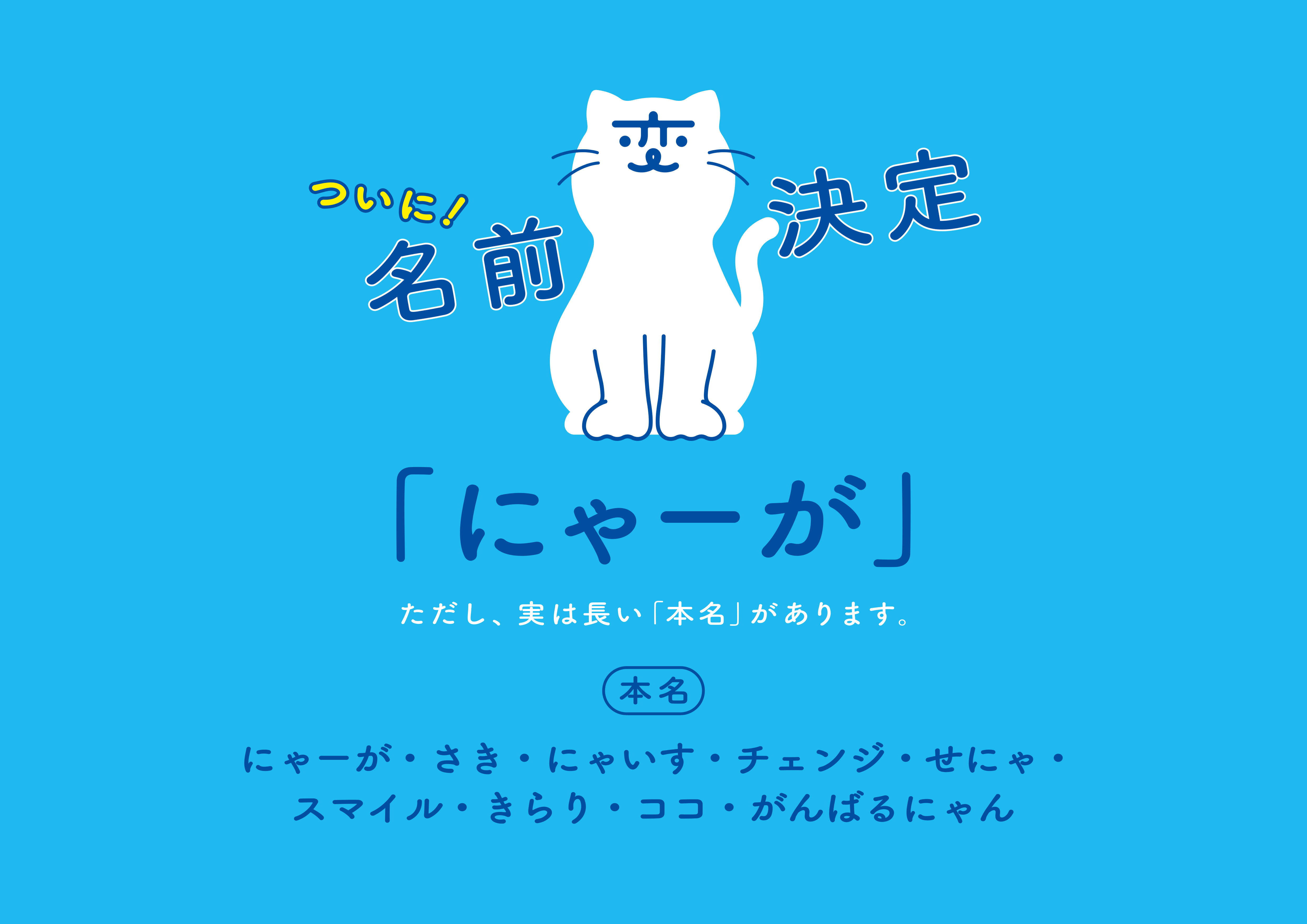 にゃーが 長崎の変」プロジェクトの「猫キャラ」愛称『にゃーが』に決定