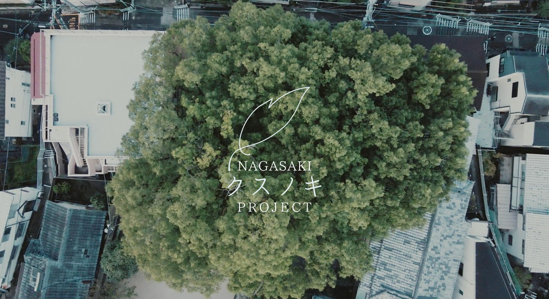 クスノキプロジェクト