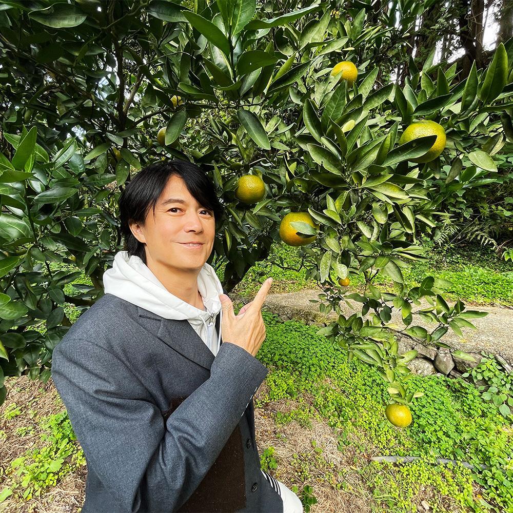 福山雅治/EGGS 福山雅治/EGGS 福山雅治/EGGS Amazon.co.jp: Fukuyama Masaharu Eggs