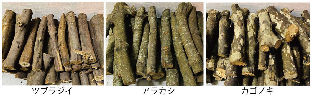 更新】「KUSUNOKIプロジェクト」REPORT② | 福山雅治オフィシャルサイト