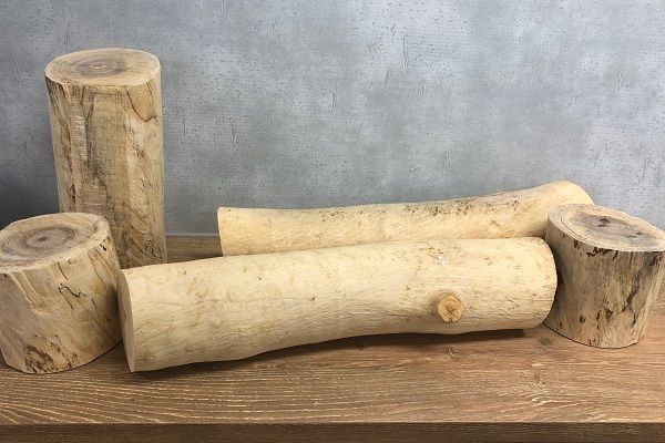 KUSUNOKIプロジェクト」始動 | 福山雅治オフィシャルサイト